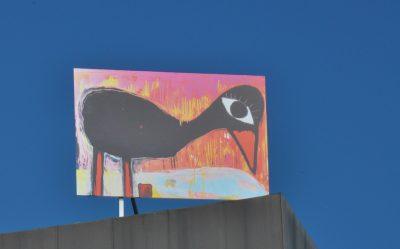 Oiseau toit Ktdral